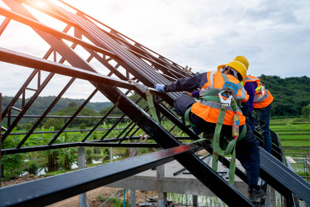 Roof Gutter Cleaning in Marlette, MI