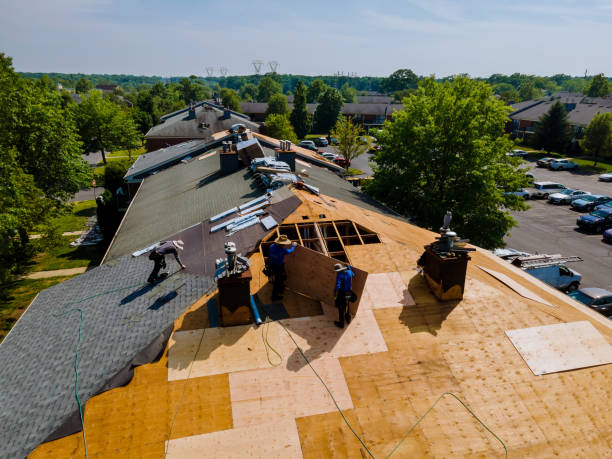 Best New Roof Installation  in Marlette, MI