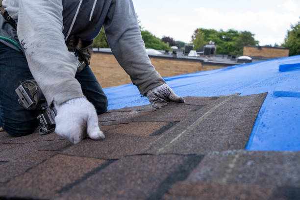 Best Residential Roofing Contractor  in Marlette, MI