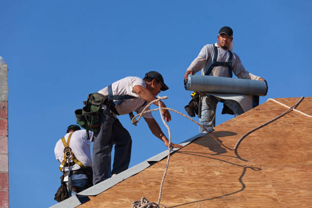 Best New Roof Installation  in Marlette, MI