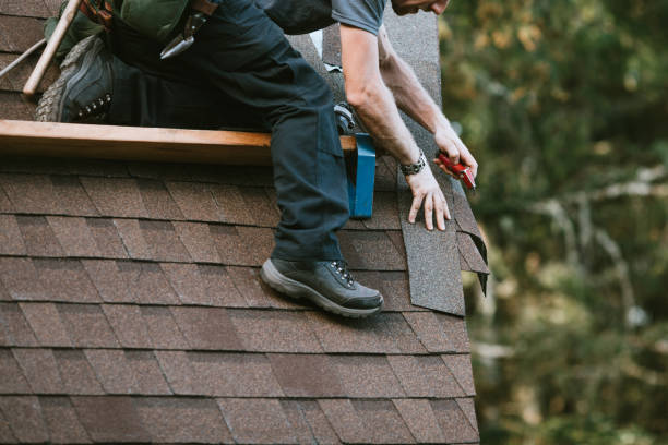 Best Gutter Installation and Roofing  in Marlette, MI